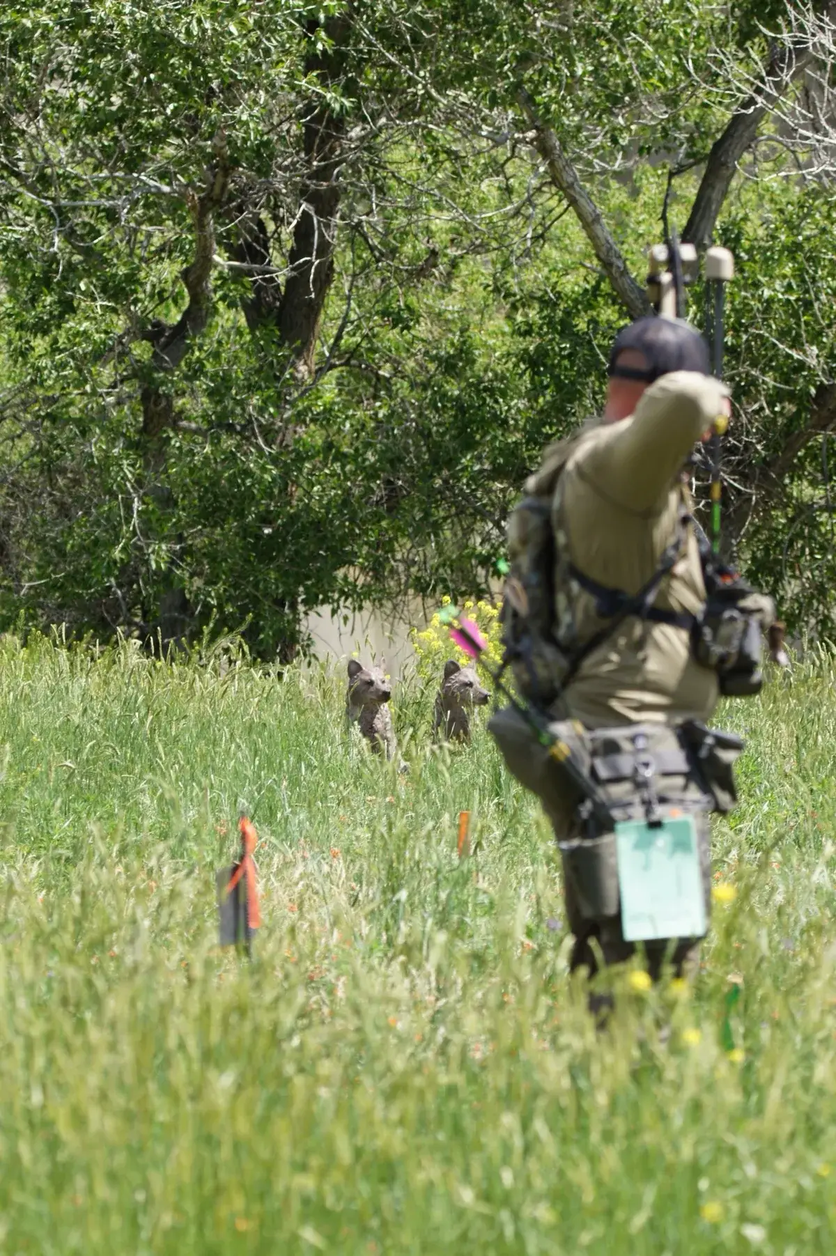 3D archery course